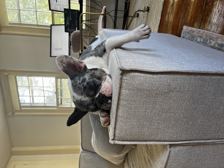 Louie, photograph 110