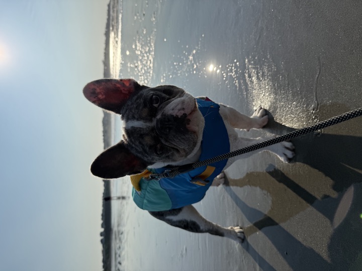 Louie, photograph 128