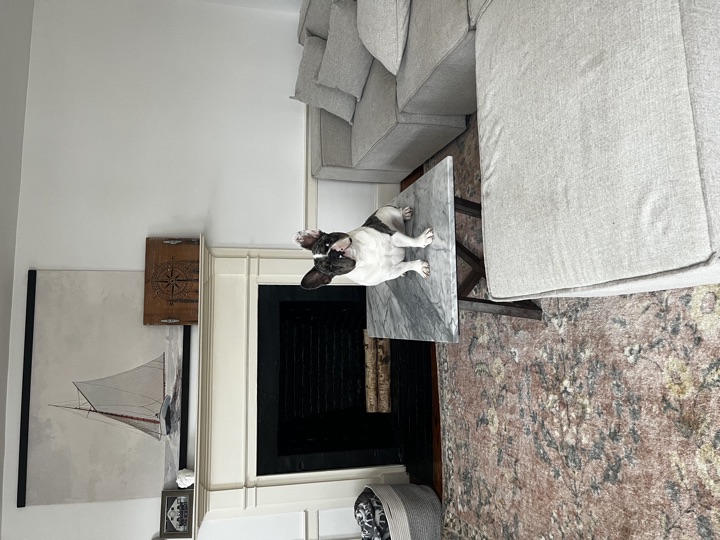 Louie, photograph 135