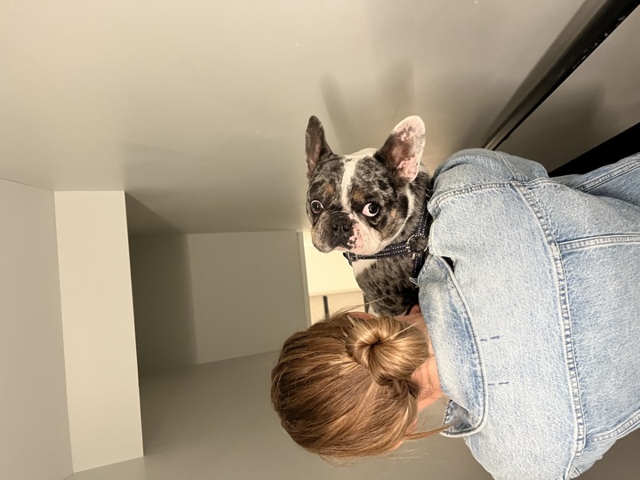 Louie, photograph 142