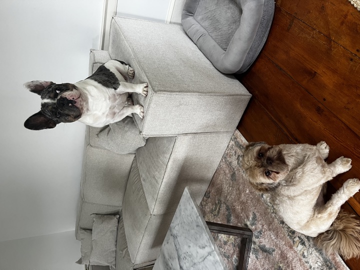 Louie, photograph 40