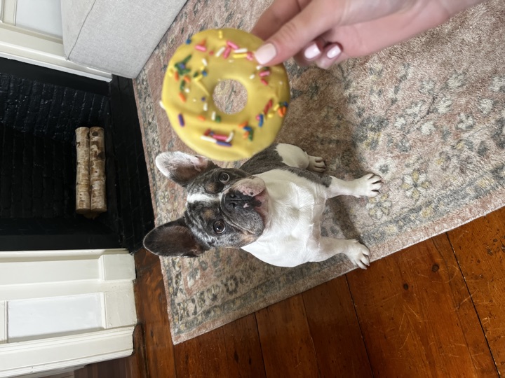 Louie, photograph 46