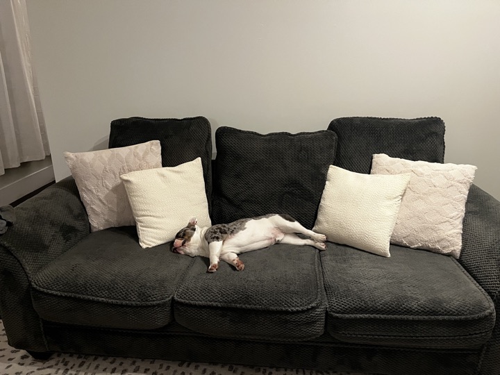 Louie, photograph 78