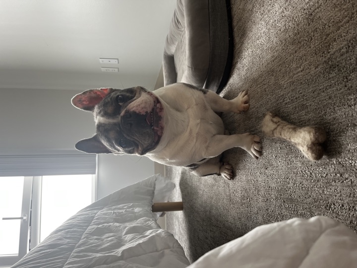 Louie, photograph 89