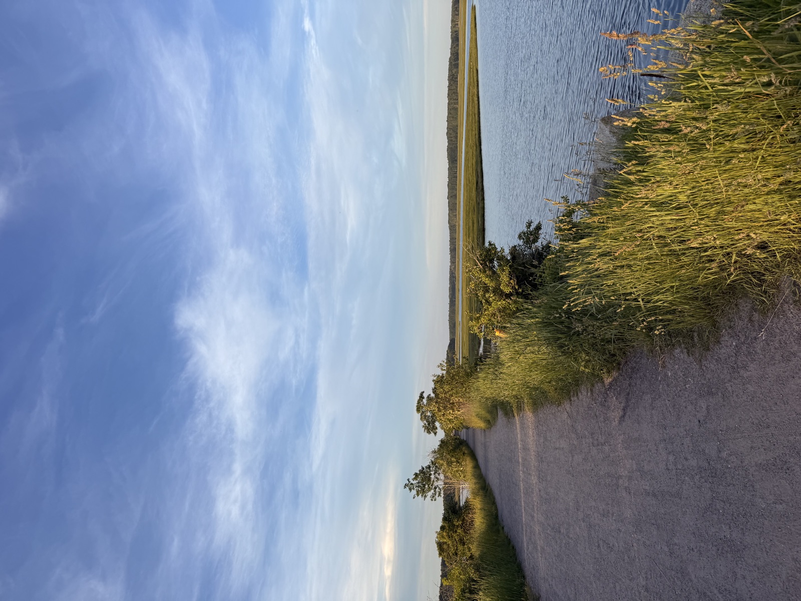 A causeway road running out over a golden marsh